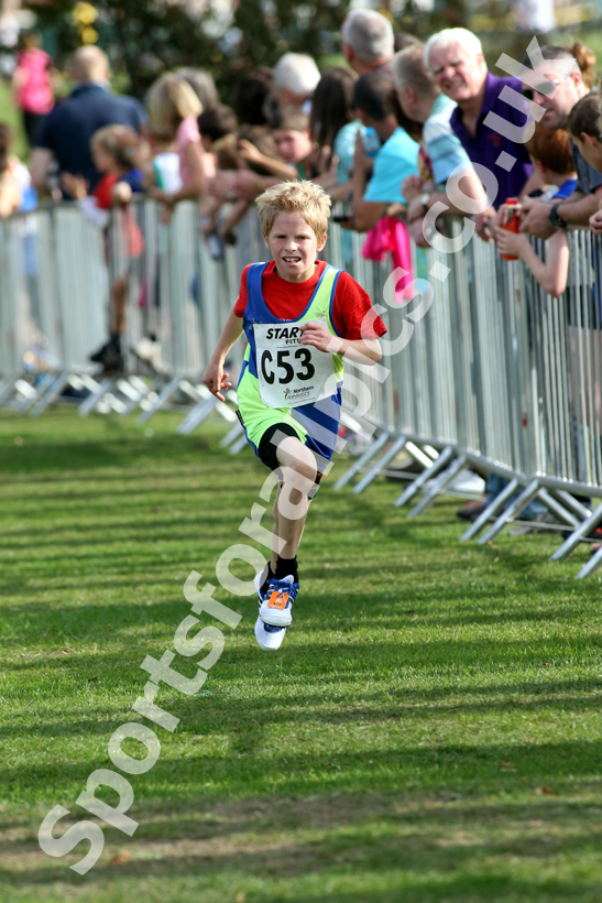 Josh Hinchly (Vale Royal), under-13 boya, Northern Cross Country Relay, Graves Park, Sheffield